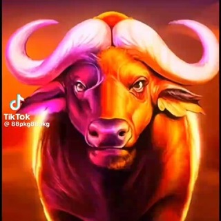 Telegram profile photo for စလော့ ကျွဲဂိမ်းများစုစည်းရာ