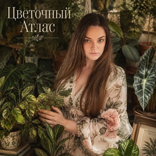Telegram profile photo for Цветочный атлас🌺