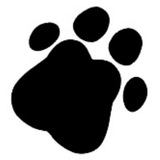 Telegram profile photo for OLU_KIN! 🐾