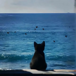 Telegram profile photo for 沉沦Botnet