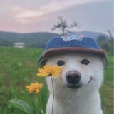 Telegram profile photo for Лᴏᴛы ᴏᴛ Вᴀᴛᴩуɯᴋи