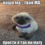 Telegram profile photo for Апельсиновая роща| HanaKitsu