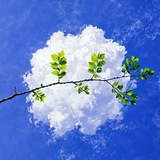 Telegram profile photo for _ عَلى قَيْدِ حُلْم و أُُمْنِيـَ𓂆ـةْ.
