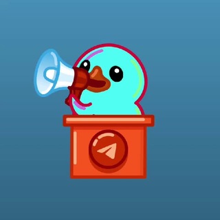 Telegram profile photo for 双向解除与知识答疑