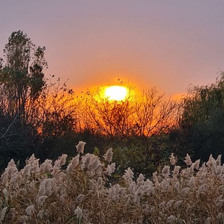 Telegram profile photo for Жизнелюб