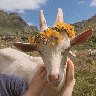 Telegram profile photo for Да кто такой этот ваш мямлик?