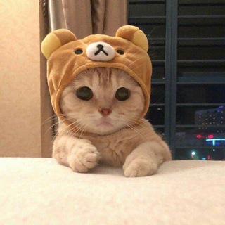 Telegram profile photo for Тебе знак 🫵