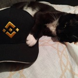 Telegram profile photo for $SEMYON Binance Cat CTO