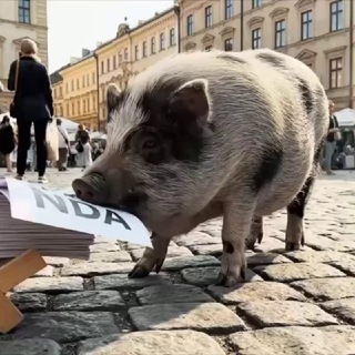 Telegram profile photo for Бытие спекулянта