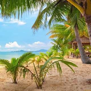 Telegram profile photo for Квартиры Виллы Кондо Пхукет (Phuket)