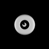 Telegram profile photo for OEIL clothes