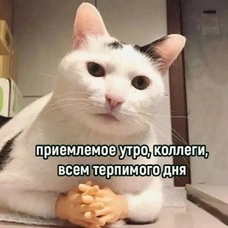 Telegram profile photo for Инфо-канал | Арт-файт