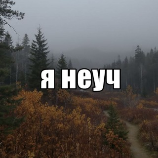 Telegram profile photo for Солянка