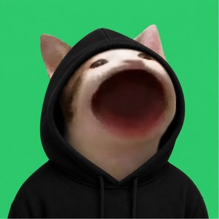 Telegram profile photo for Popcat in Hood -$PIH