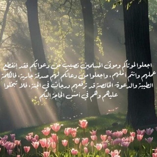Telegram profile photo for أدعية للأموات