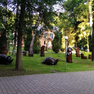 Telegram profile photo for Санаторій "Березовий гай"🌿