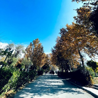 Telegram profile photo for انجمن علمے عربی📚