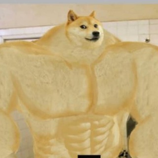 Telegram profile photo for Ёбаная качалка