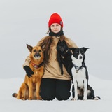Telegram profile photo for логово чудища