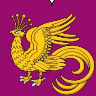 Telegram group profile photo for ЧАТ Муниципальный округ Якиманка