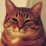 Telegram profile photo for Окрошка с килькой