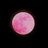 Telegram profile photo for Beautiful Nights