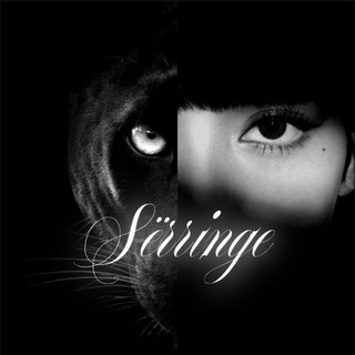 Telegram profile photo for Sërringe | Info
