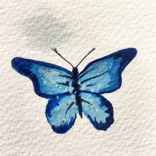 Telegram profile photo for ميـنرڤـا 🦋.