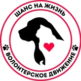 Telegram profile photo for 🐕Шанс на Жизнь🐈🐾🐾🐾
