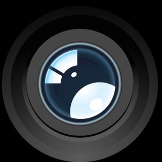 Telegram profile photo for Фотография. Съёмка. Обучение.