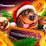 Telegram profile photo for Легенды и мифы о ставках на казино