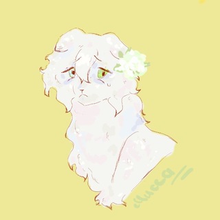 Telegram profile photo for missa art