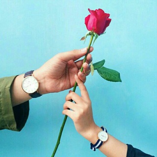 Telegram profile photo for زوج درمانی و روانشناسی مهروماه