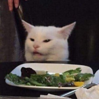 Telegram profile photo for Mr Flubby Cat