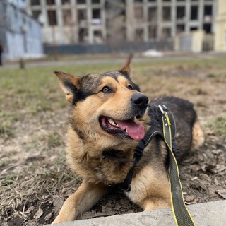 Telegram profile photo for приключения грома✌🏻