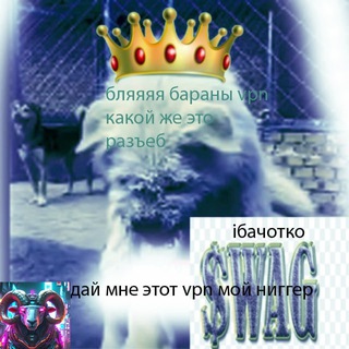 Telegram profile photo for 🐏👑Б.А.Р.А.Н.Ы VPN👑