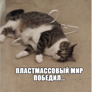 Telegram profile photo for вещевик-затейник
