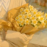 Telegram profile photo for نَــرْجِـــسے"💛🌿