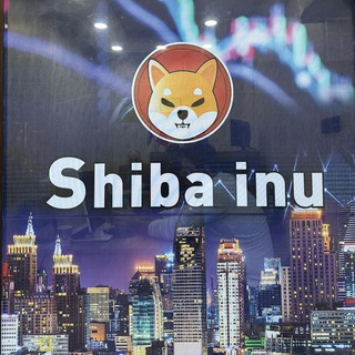 Telegram profile photo for قناة شيبا الاحتياط. الجديد