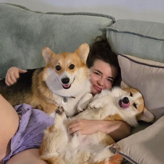Telegram profile photo for Доча. Котик. Два коржа