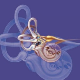 Telegram profile photo for Doctor Umarov Doniyor