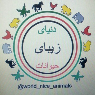 Telegram profile photo for 🐆دنیای زیبای حیوانات🦁