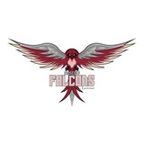 Telegram profile photo for Moscow Falcons Lacrosse