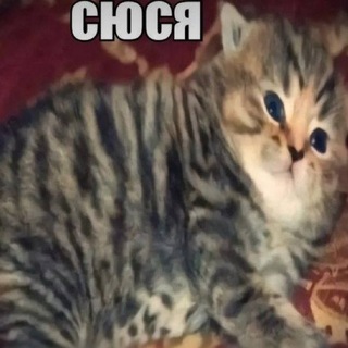 Telegram profile photo for ( архив ) H y p o c r i s i t y