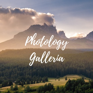 Telegram profile photo for Photology Galleria ✨