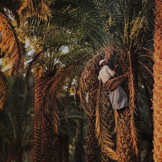 Telegram profile photo for مُناجاة