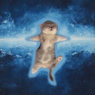 Telegram profile photo for $CORE PORTAL