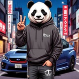Telegram profile photo for Il'nurka AKA Pandajkeee