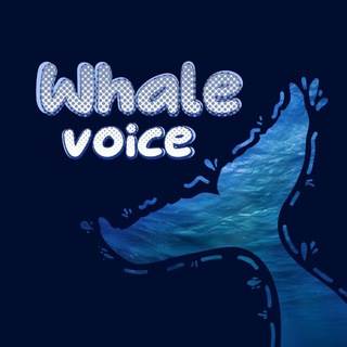 Telegram profile photo for Whale Voice🐋