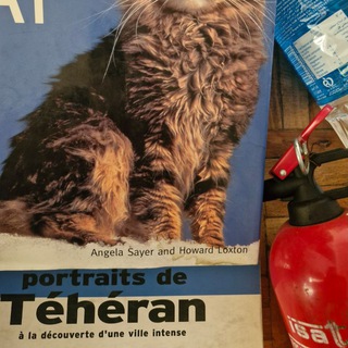Telegram profile photo for Newagebookstore